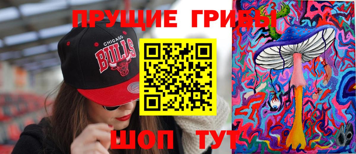 Галлюциногенные грибы прущие грибы  Вход с VPN  купить наркотики сайты  Псилоцибиновые грибы Psilocybine cubensis  Барабинск 